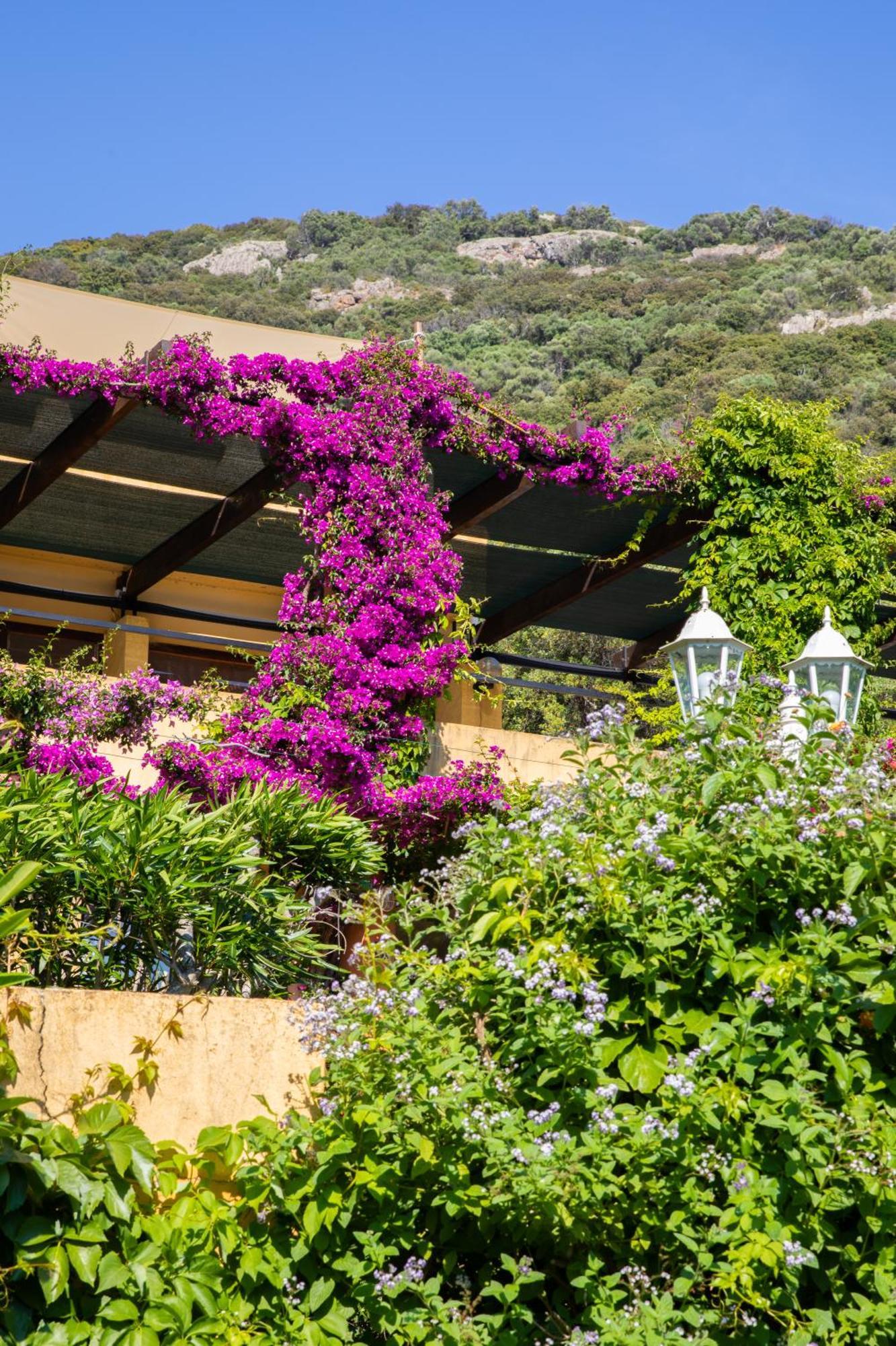 Residence Helios Cargèse Exterior foto